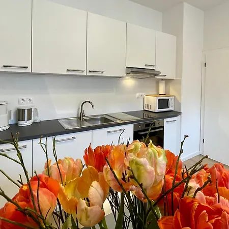 Gaestehaus Schmidt - Apartements Apartmán Bad Lippspringe